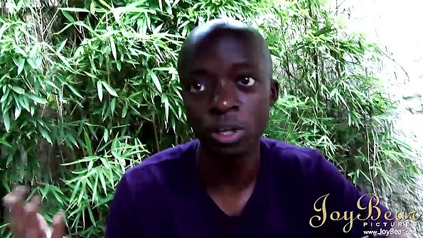 Burvīgs Brazīlijas medus ar slepkavniecisku ķermeni tiek pienaglots ar radzēm