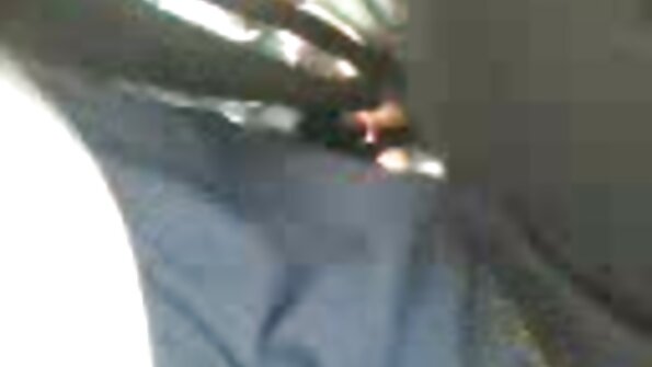 Nobriedusi kuce ar lielu vēderu tiek taranēta ar savu spalvaino cuci